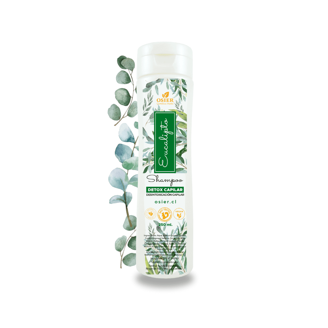 Shampoo Eucalipto