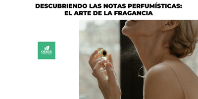 Clasificación de fragancias en Osier